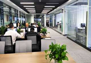 上海法兰软密封闸阀定制多少钱