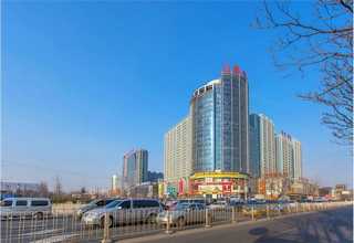 鹤壁丙烯酸合成树脂是什么