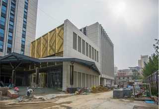 河北菠萝格木原木